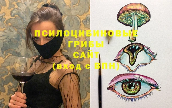 эйфоретик Ельня