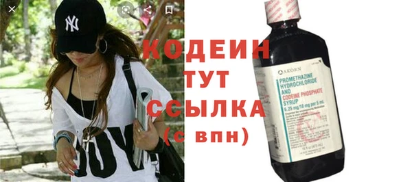 эйфоретик Ельня