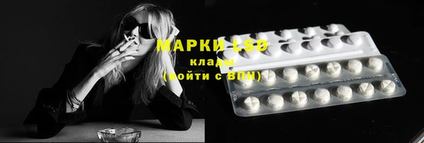 эйфоретик Ельня