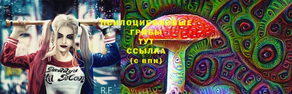 бутират Елабуга