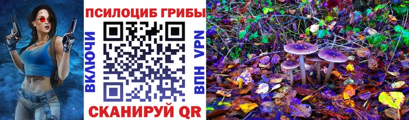 Купить  Черняховск  Псилоцибиновые грибы прущие грибы 